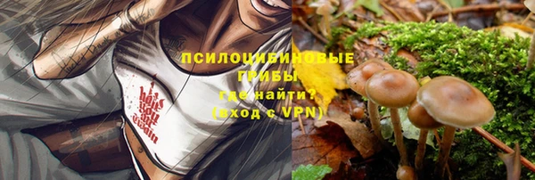 стафф Белоозёрский