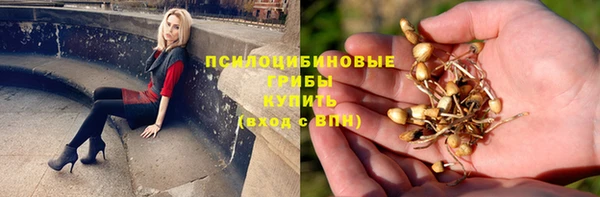 стафф Белоозёрский