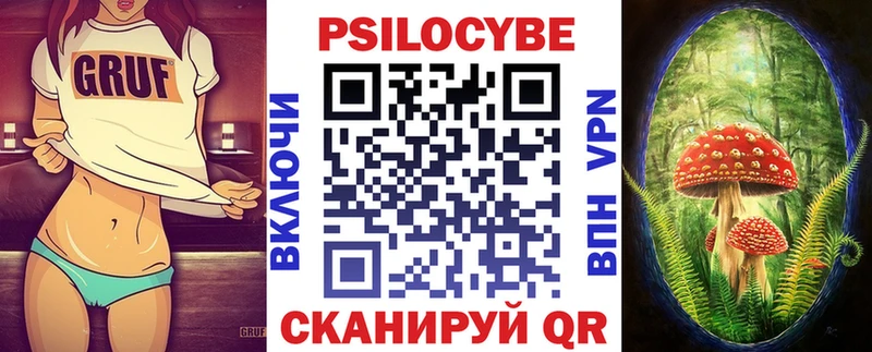 Псилоцибиновые грибы Psilocybe  Биробиджан 